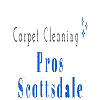 1st Carpet Cleaning Scottsdale AZ